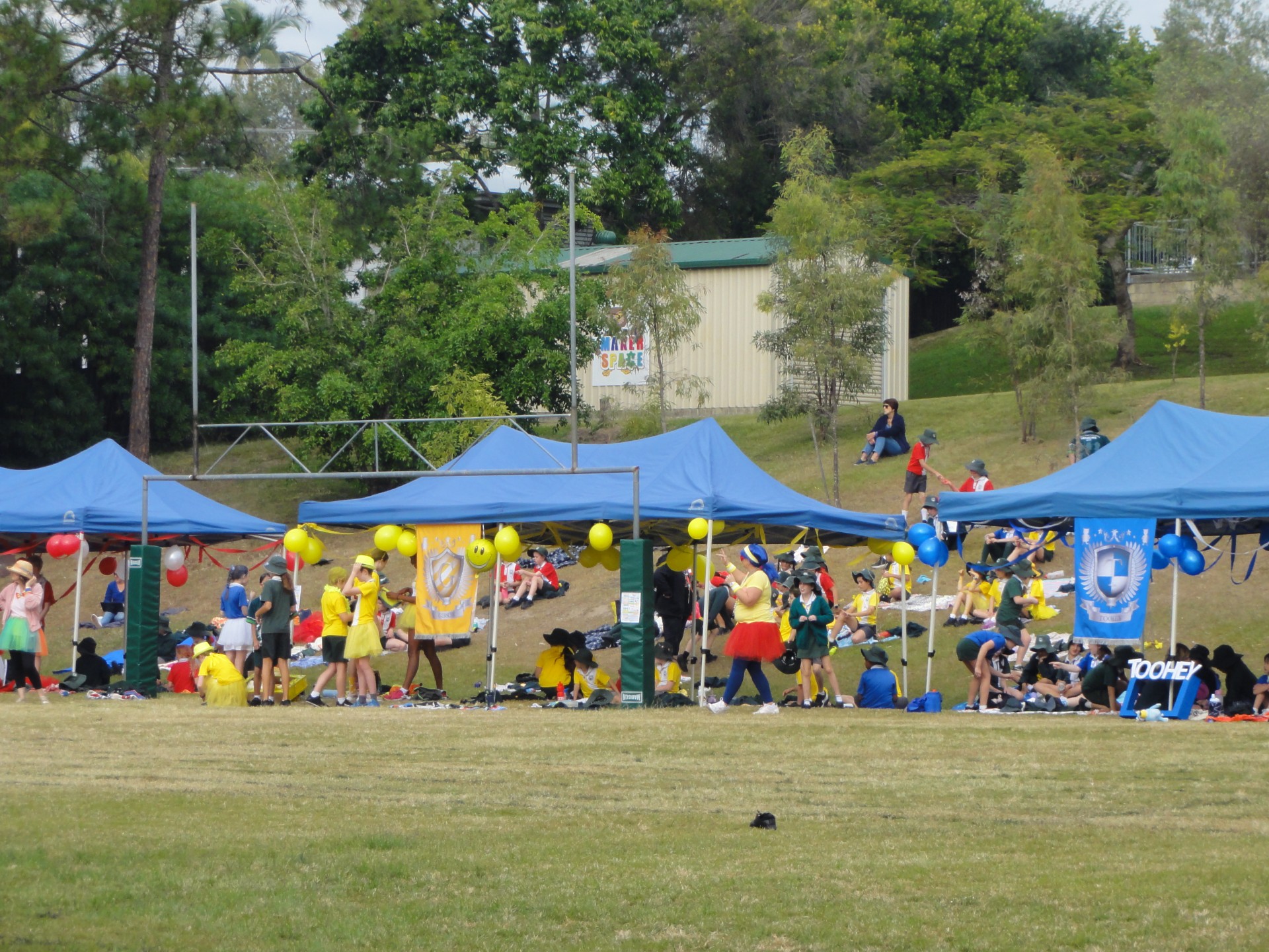sports-1.jpg
