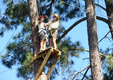 Students standing on platform high up a tree