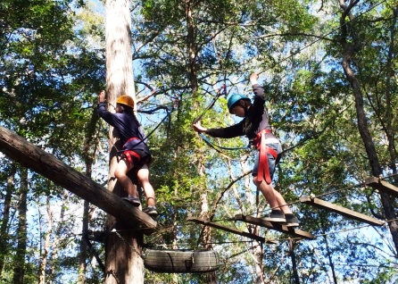 Students with helmets walking on high ropes in trees