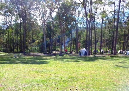 Tents between trees and grass